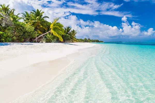 Prachtig Strand Met Palmbomen Humeurige Lucht Zomervakantie Reizen Achtergrond Concept — Stockfoto
