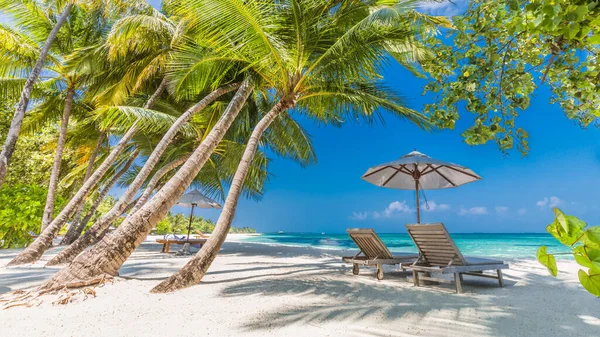 Bellissimo Banner Spiaggia Tropicale Sabbia Bianca Palme Cocco Turismo Viaggio — Foto Stock