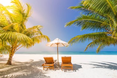 Güzel tropik gün batımı manzarası, iki güneş yatağı, dinlenme yerleri, palmiye ağacının altındaki şemsiye. Beyaz kum, ufku olan deniz manzarası, renkli alacakaranlık gökyüzü, sakinlik ve rahatlama. İlham verici sahil oteli manzarası