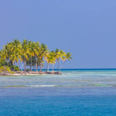 Plaj sahnesi, tropikal doğa düzeni, egzotik cennet adası manzarası, deniz manzarası. Mavi gökyüzünün altında palmiye ağaçları olan beyaz kum. Huzurlu sahil manzarası, lüks seyahat geçmişi. Yaz tatili, macera, özgürlük tatili konsepti