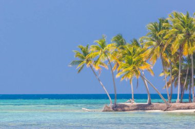 Plaj sahnesi, tropikal doğa düzeni, egzotik cennet adası manzarası, deniz manzarası. Mavi gökyüzünün altında palmiye ağaçları olan beyaz kum. Huzurlu sahil manzarası, lüks seyahat geçmişi. Yaz tatili, macera, özgürlük tatili konsepti