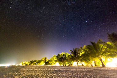 Palmiye ağaçları ve arka planda samanyolu ile gece çekimleri