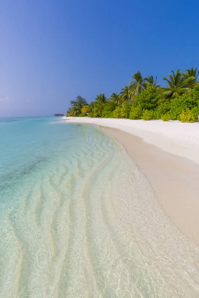万花筒岛 完美宁静的海滩风景 柔和的阳光 洁白的沙滩 蔚蓝无尽的大海 犹如热带海景 豪华度假酒店 度假及度假景观 — 图库照片
