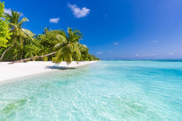 Tropischer Strandhintergrund Als Sommerlandschaft Mit Strandschaukel Oder Hängematte Und Weißem — Stockfoto