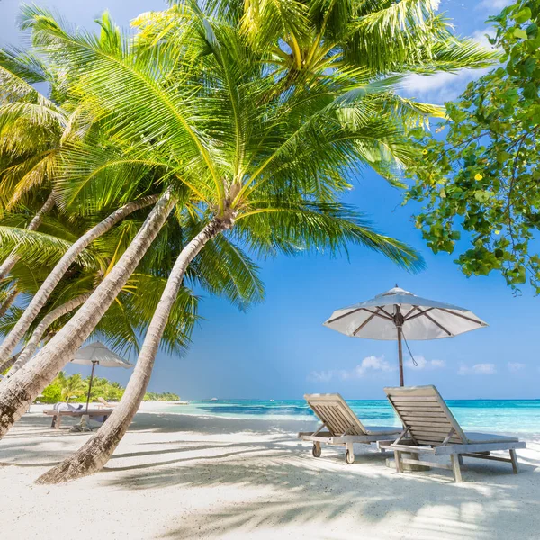 Prachtig Tropisch Zonnig Landschap Twee Ligbedden Ligstoelen Parasol Onder Palmbomen — Stockfoto