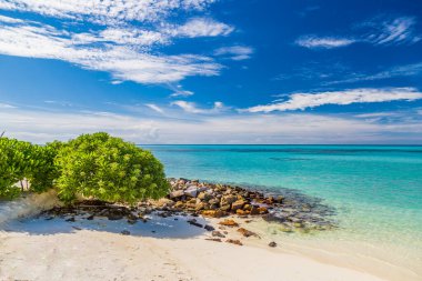Maldivler 'deki tropikal plaj, beyaz kumların üzerindeki yeşil çalı ve dalga kırıcı olarak kayalar.