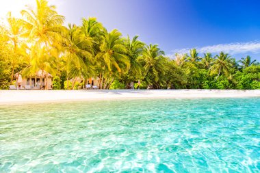 İnanılmaz bir manzara, rahatlatıcı plaj, tropikal manzara. Yaz tatili tatil tasarımı. Lüks seyahat konsepti. Sahil doğası, muhteşem mavi deniz gölünün üzerindeki palmiye ağaçları, yaz tatili turizm afişi. Sakin bir ruh hali, titreşimler