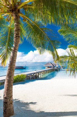Güzel plajları ve palmiye ağaçları olan tropikal bir adada yaz tatili. Maldivler plaj tatil beldesi panoramik manzara, uzun ve mavi iskele manzarası