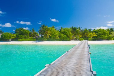 Güzel plajları ve palmiye ağaçları olan tropikal bir adada yaz tatili. Maldivler plaj tatil beldesi panoramik manzara, uzun ve mavi iskele manzarası