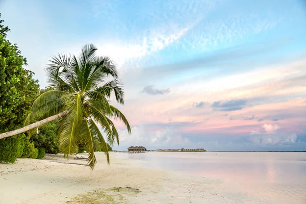 Sonnenuntergang Landschaft Paradies Romantischer Sonnenuntergang Strand Palmen Silhouette Bei Sonnenuntergang — Stockfoto