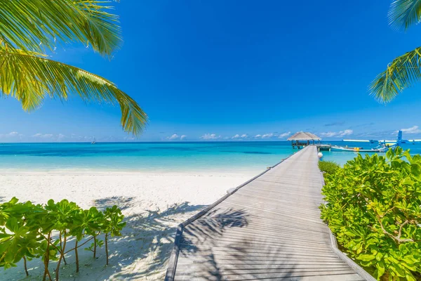 Vacanze Estive Isola Tropicale Con Bella Spiaggia Palme Maldive Località — Foto Stock