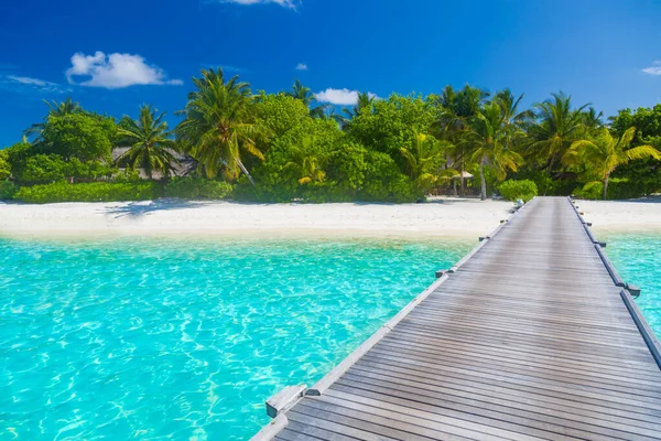 Летний Отдых Тропическом Острове Красивым Пляжем Пальмами Мальдивский Пляж Курорта — стоковое фото