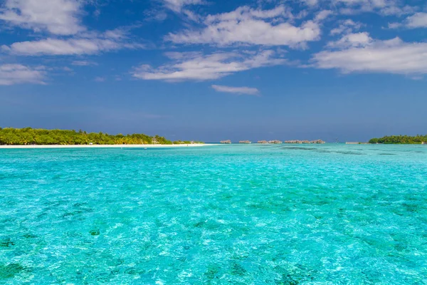 Belle Palme Spiaggia Tropicale Oceano Lagunare Esotico Paradiso Tropicale Viaggi — Foto Stock