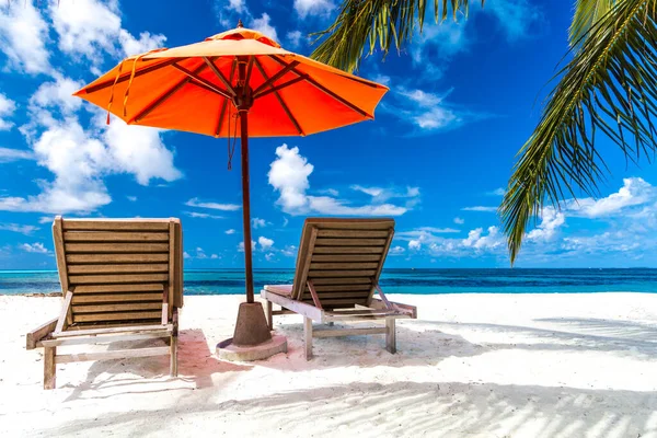奢华的海滩度假胜地 海滨游憩者 大海白沙覆盖 热带岛屿背景 暑假概念 假日和旅游设计 异国情调的娱乐横幅 — 图库照片