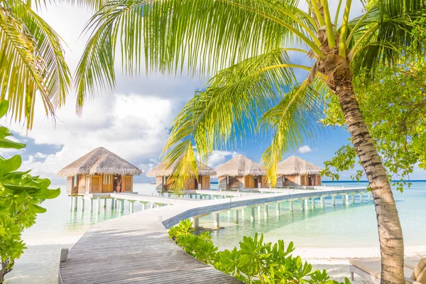 Amazing Tropical Island Panorama Maldives Luxury Resort Villas Seascape Green — Stock Photo, Image