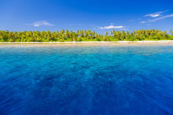 Beautiful Palm Trees Tropical Beach Exotic Lagoon Ocean Tropical Paradise — Stock Photo, Image