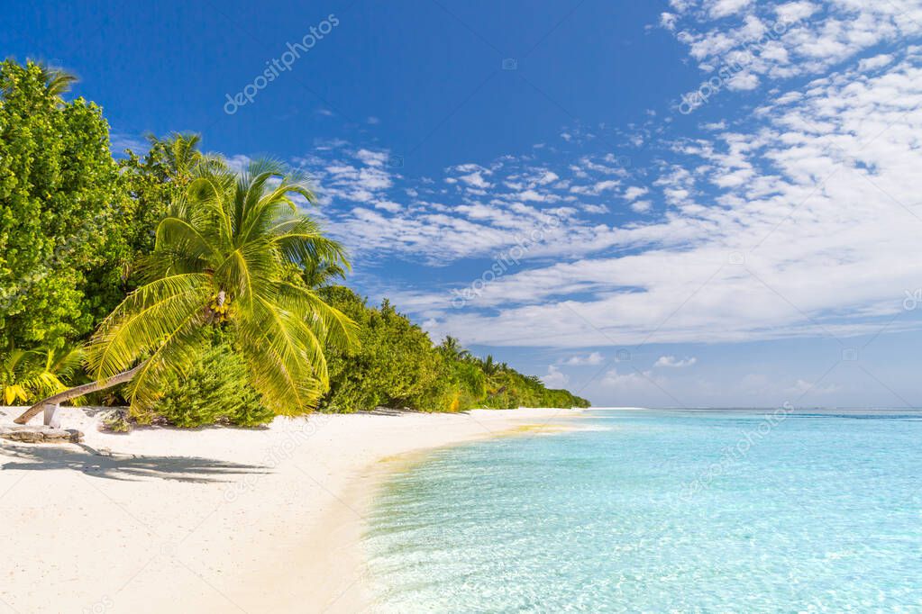 Beach vacation and beach holiday concept in Maldives island. Summer landscape, white sand and blue sky with palm trees of tropical scene. Wonderful scenery concept, inspirational beach template