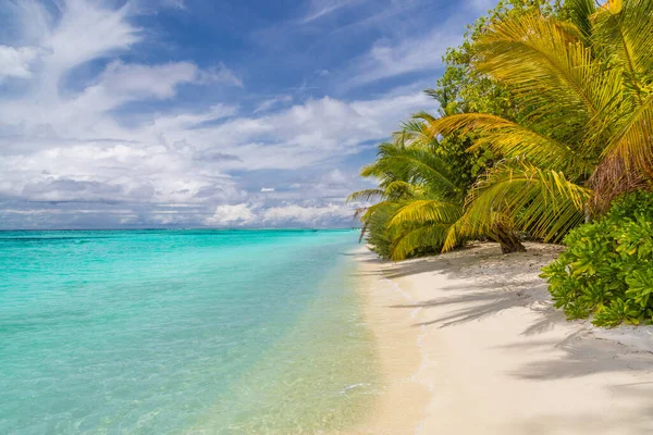 Тропический Пляж Острова Экзотический Пейзаж Спокойным Морем Голубым Небом Над — стоковое фото