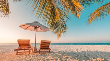 Tropik plaj oteli arka planında yaz manzarası olarak güneşli şezlonglar ve palmiye ağaçları ve plaj afişleri için sakin deniz bulunuyor. Lüks tatil ve tatil yeri konsepti