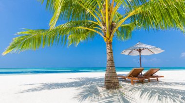 Tropik manzara, şemsiye altında sandalyeler ve palmiye yaprakları. Lüks seyahat maceraları, tatil atmosferleri. Güzel yaz tatilleri ve tatil konsepti. İlham verici tropikal plaj. Huysuz yaz manzarası
