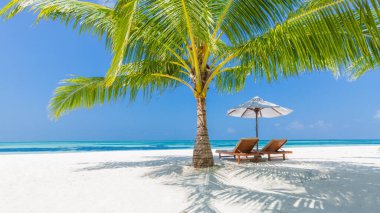 Tropik manzara, şemsiye altında sandalyeler ve palmiye yaprakları. Lüks seyahat maceraları, tatil atmosferleri. Güzel yaz tatilleri ve tatil konsepti. İlham verici tropikal plaj. Huysuz yaz manzarası