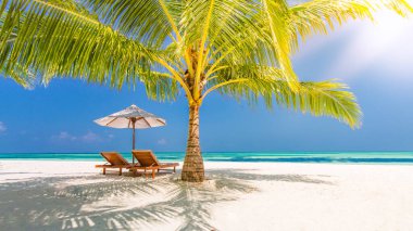 Tropik manzara, şemsiye altında sandalyeler ve palmiye yaprakları. Lüks seyahat maceraları, tatil atmosferleri. Güzel yaz tatilleri ve tatil konsepti. İlham verici tropikal plaj. Huysuz yaz manzarası