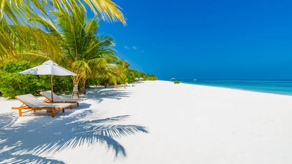 Zwei Liegestühle Idyllischen Tropischen Weißen Sandstrand Schatten Von Den Palmen — Stockfoto