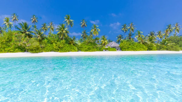 Amazing Summer Beach Panorama Exotic Island Coastline Palm Trees White — Stock Photo, Image