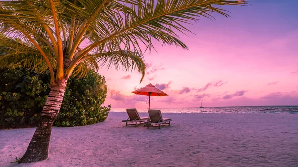 Piękna Plaża Krzesła Piaszczystej Plaży Pobliżu Morza Koncepcja Wakacji Letnich — Zdjęcie stockowe