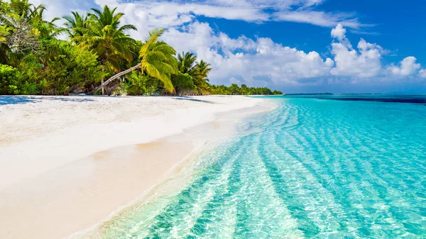 Schöner Strand Mit Palmen Und Stimmungsvollem Himmel Sommerurlaub Reise Urlaub — Stockfoto
