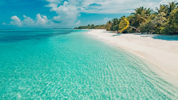 Vacker Strand Med Palmer Och Lynnig Himmel Sommar Semester Resa — Stockfoto