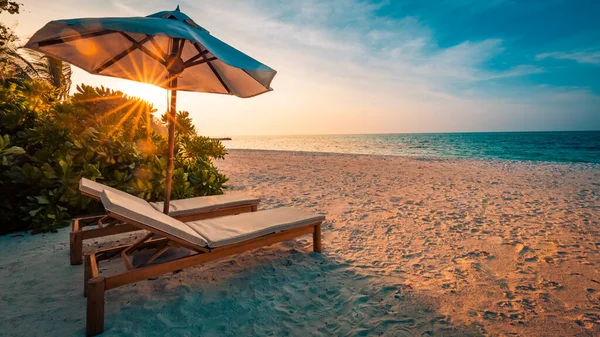 Prachtige Tropische Strandbanner Wit Zand Kokos Palmen Reizen Toerisme Breed — Stockfoto