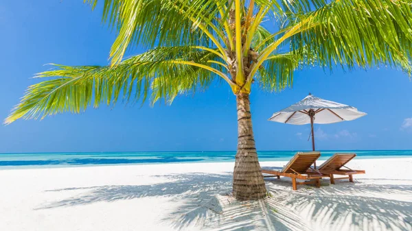 Tropik manzara, şemsiye altında sandalyeler ve palmiye yaprakları. Lüks seyahat maceraları, tatil atmosferleri. Güzel yaz tatilleri ve tatil konsepti. İlham verici tropikal plaj. Huysuz yaz manzarası