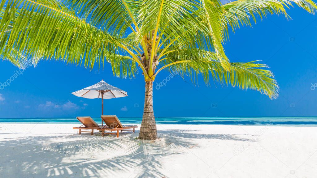 Tropical scenery, chairs under umbrella and palm leaves. Luxury travel adventure, vacation vibes. Beautiful summer beach holiday and vacation concept. Inspirational tropical beach. Moody summer landscape