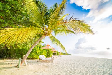 Güzel tropik gün batımı manzarası, iki güneş yatağı, dinlenme yerleri, palmiye ağacının altındaki şemsiye. Beyaz kum, ufku olan deniz manzarası, renkli bir manzara ve mavi gökyüzü, sakinlik ve rahatlama. İlham verici sahil oteli manzarası