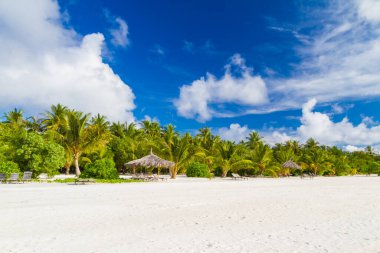 Karayip Denizi 'ndeki beyaz kumlu sahilde Hindistan cevizi palmiyeleri, Saona adası. Dominik Cumhuriyeti. Lüks yaz seyahati ve macera. Tropik ada kıyıları, şezlonglar, palmiye ağaçları ve mavi gökyüzü