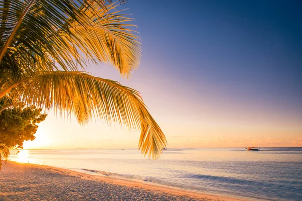 Puesta Sol Sobre Playa Tropical Tranquilo Tranquilo Amanecer Playa Tropical — Foto de Stock