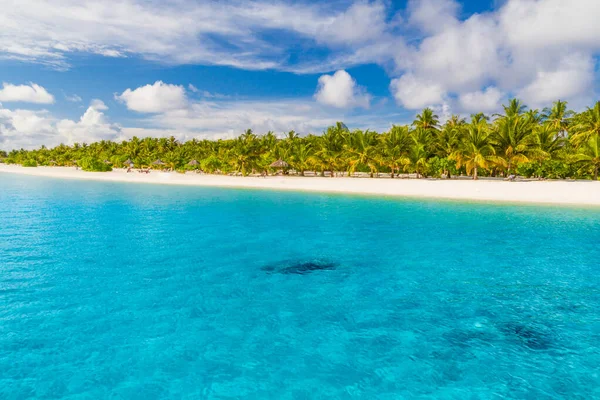 Нетронутый Тропический Пляж Острове Кокосовые Пальмы Пляже Роскошный Летний Отдых — стоковое фото
