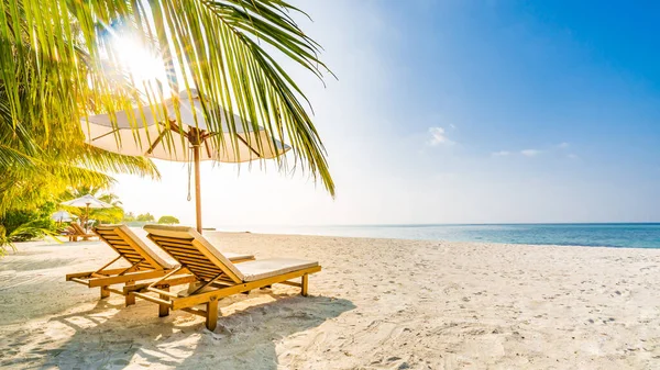 Prachtige Tropische Zonsondergang Landschap Twee Ligbedden Ligstoelen Parasol Onder Palmbomen — Stockfoto