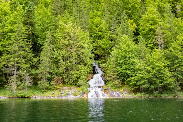 Arroyo Highland Fluye Través Del Bosque Fluye Hacia Lago Montaña — Foto de Stock