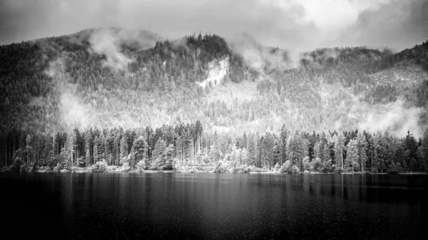 暗い湖の水と高い山の森の中で黒と白の組成 山からの最初の光は谷の湖 芸術的な自然景観に反映されます — ストック写真