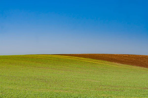 Green farm field with brown agriculture field, minimalist landscape under blue sky.