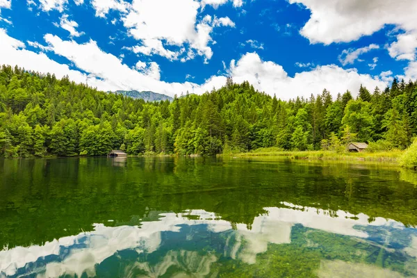 See Und Wald Wilder Bergsee Den Bergen Sommerlandschaft Schöne Spiegelung — Stockfoto
