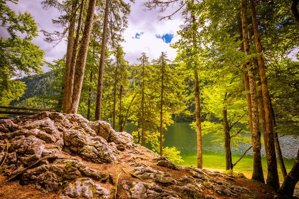 Schöner Weg Mit Gelben Herbstbäumen Ufer Des Sees Alpen Österreich — Stockfoto