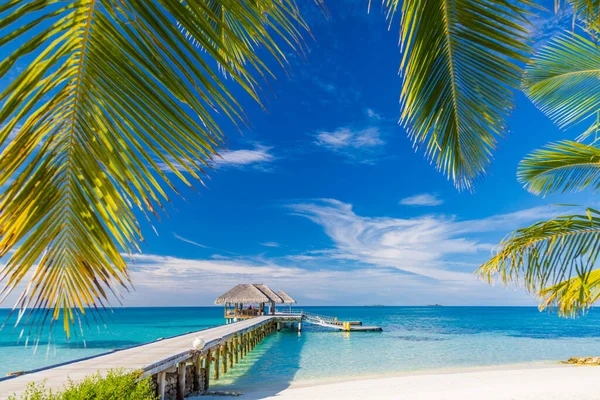 Vacances Été Dans Une Station Balnéaire Luxe Paysage Incroyable Dans — Photo