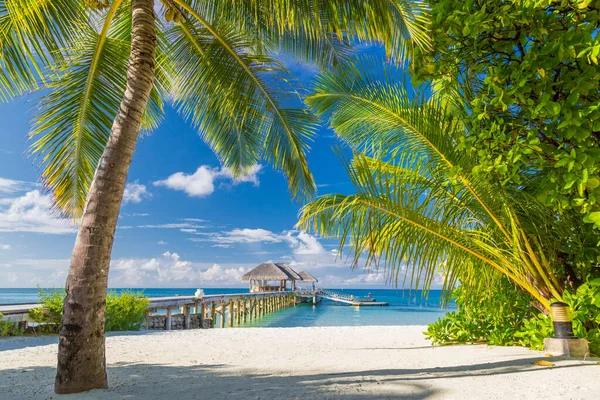 Tropischer Strandhintergrund Als Sommerlandschaft Mit Grünen Palmenblättern Und Weißem Sand — Stockfoto