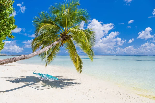 美丽的热带海滩横幅 白色的沙子和可可棕榈在旅游的广阔背景下形成了一个概念 迷人的海滩景观 — 图库照片