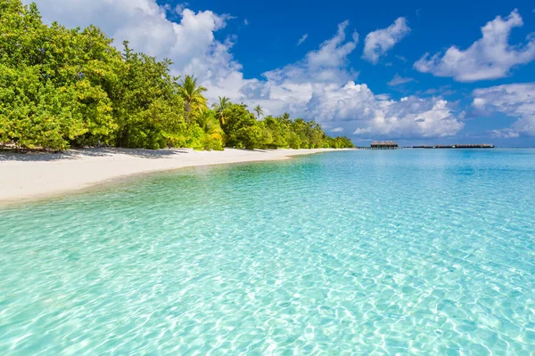 Tropisk Strand Bakgrund Som Sommar Landskap Med Strand Swing Eller — Stockfoto