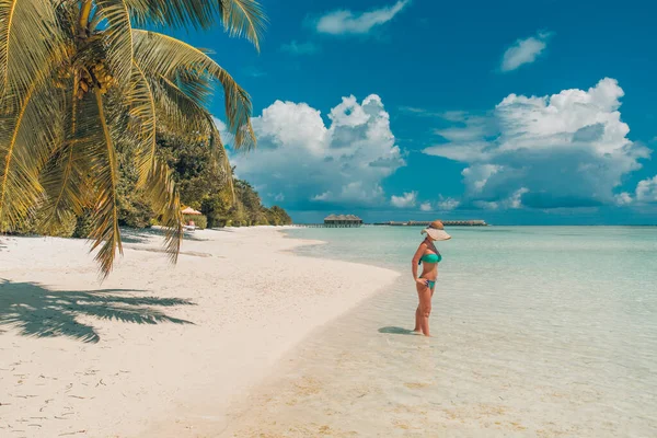 Luxury Resort Férias Verão Ilha Paradisíaca Palmeiras Sobre Mar Azul — Fotografia de Stock