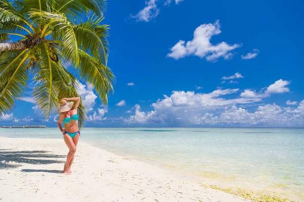 Luxury Resort Férias Verão Ilha Paradisíaca Palmeiras Sobre Mar Azul — Fotografia de Stock